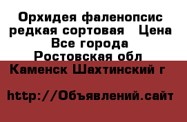 Орхидея фаленопсис редкая сортовая › Цена ­ 800 - Все города  »    . Ростовская обл.,Каменск-Шахтинский г.